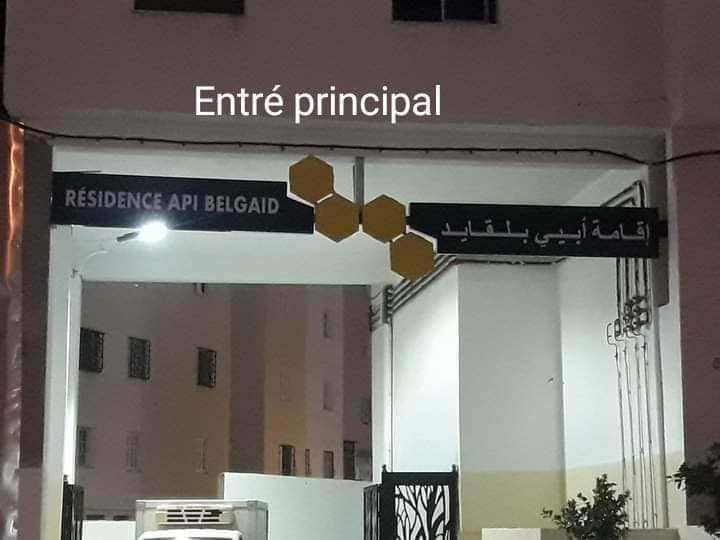 vente Appartement à belgaid résidence API
