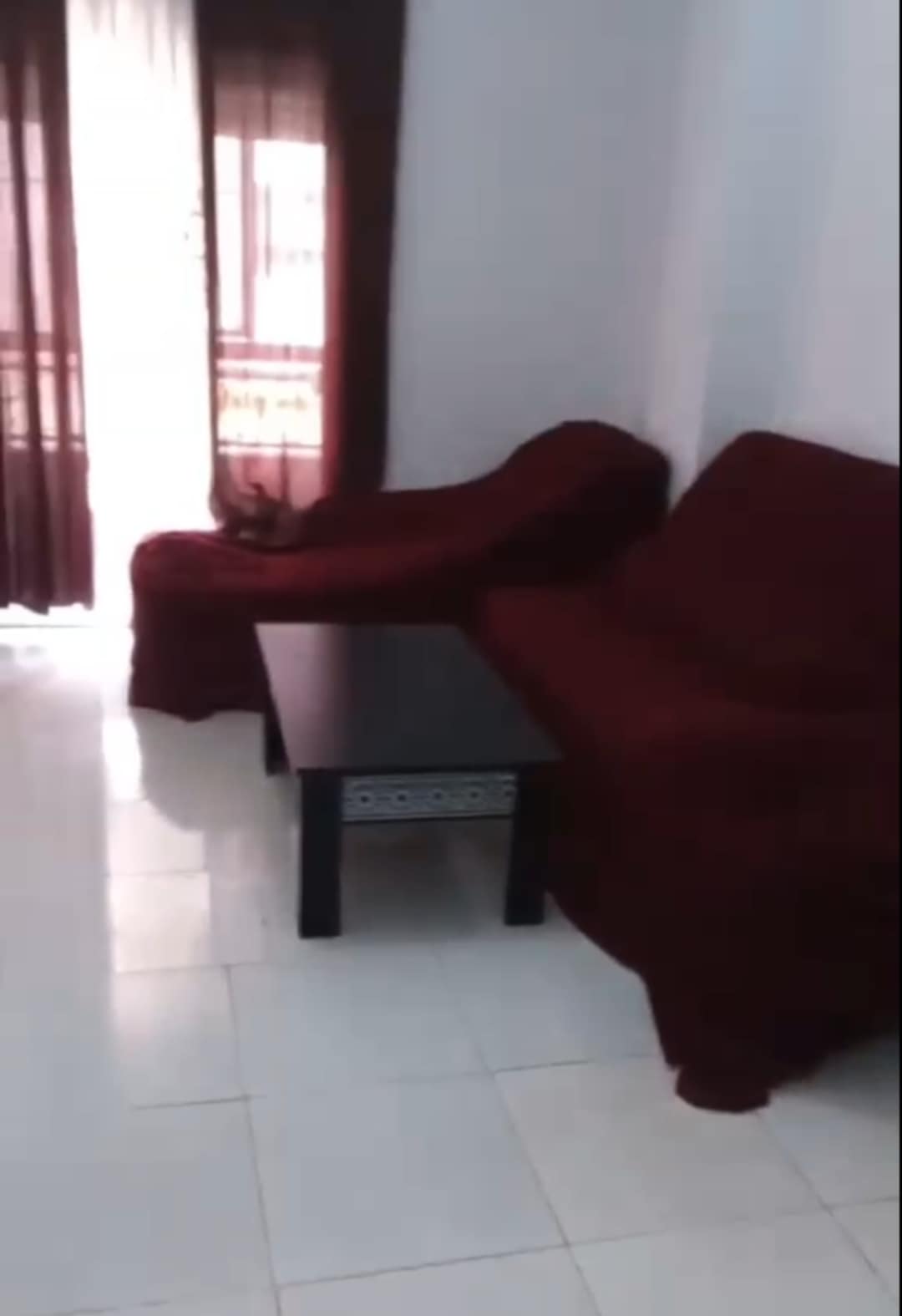 Location d'un appartement équipé à  Belgaid 